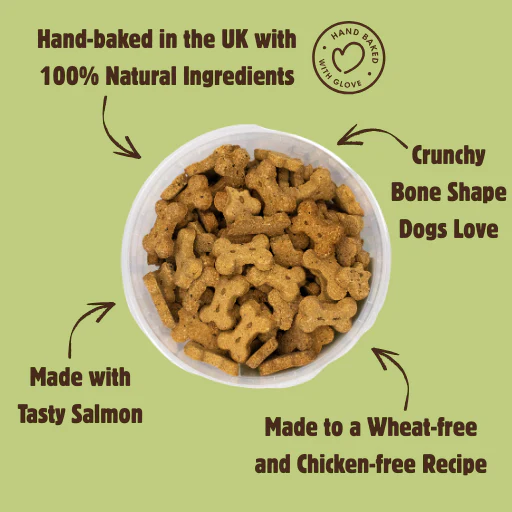 Wheat-Free Salmon & Seaweed - Image 3