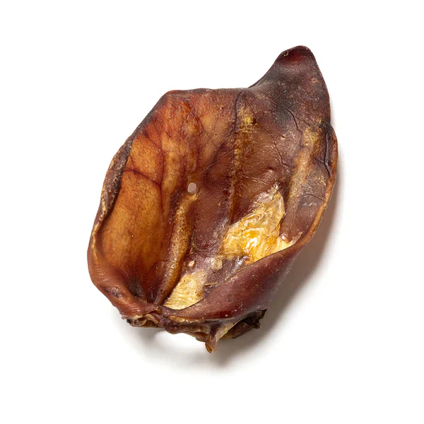 XL Sow Ear